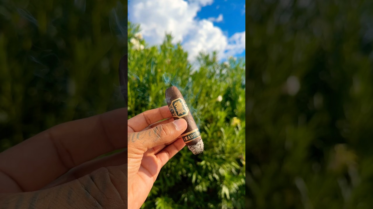ASMR ☀️ Enjoying a Flying Pig Maduro cigar by Drew Estate 🪽🐷 #cigar #asmr #shorts #relaxing #vibes