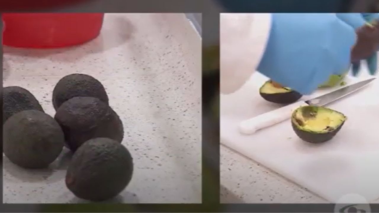 El aguacate vale oro: descubra todo lo que se puede producir con sus residuos - La Finca de Hoy