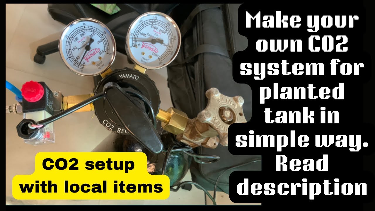 My new cheapest CO2 set up with generic regulator. Watch full video & read description 