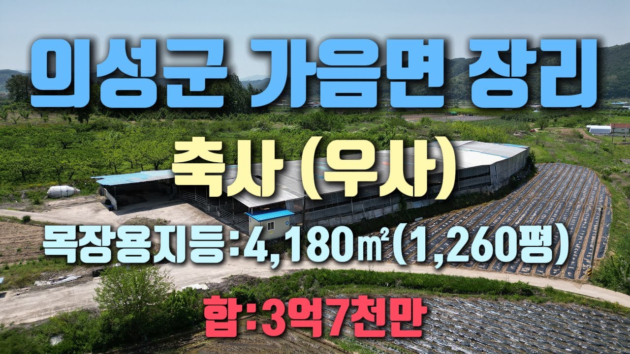 의성군 가음면 축사 매매 1,260평 3억7천만