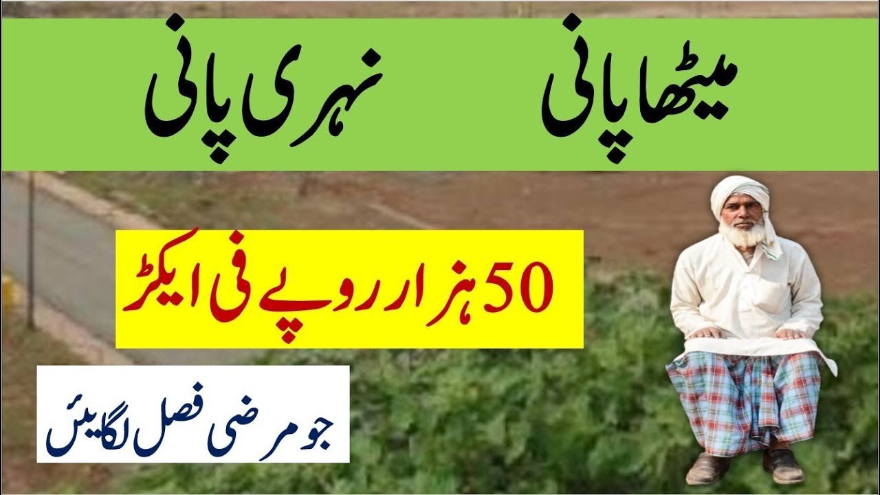 Agriculture Land For Sale 50000 Fee Acres Sasti Zameen  Agriculture Land For Sale Must Watch Video