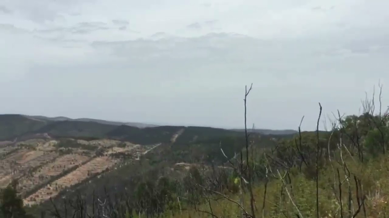 Land of 4 hectares with ruin in Monchique