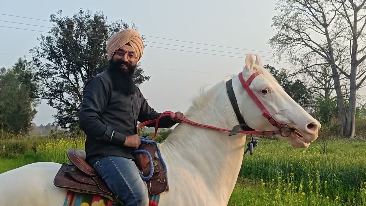 Feel after Riding Gulbag. घोड़े पर बैठकर ऐसा लगता है जैसे बादशाह अपनी रियासत का चक्कर मार रहा हो।