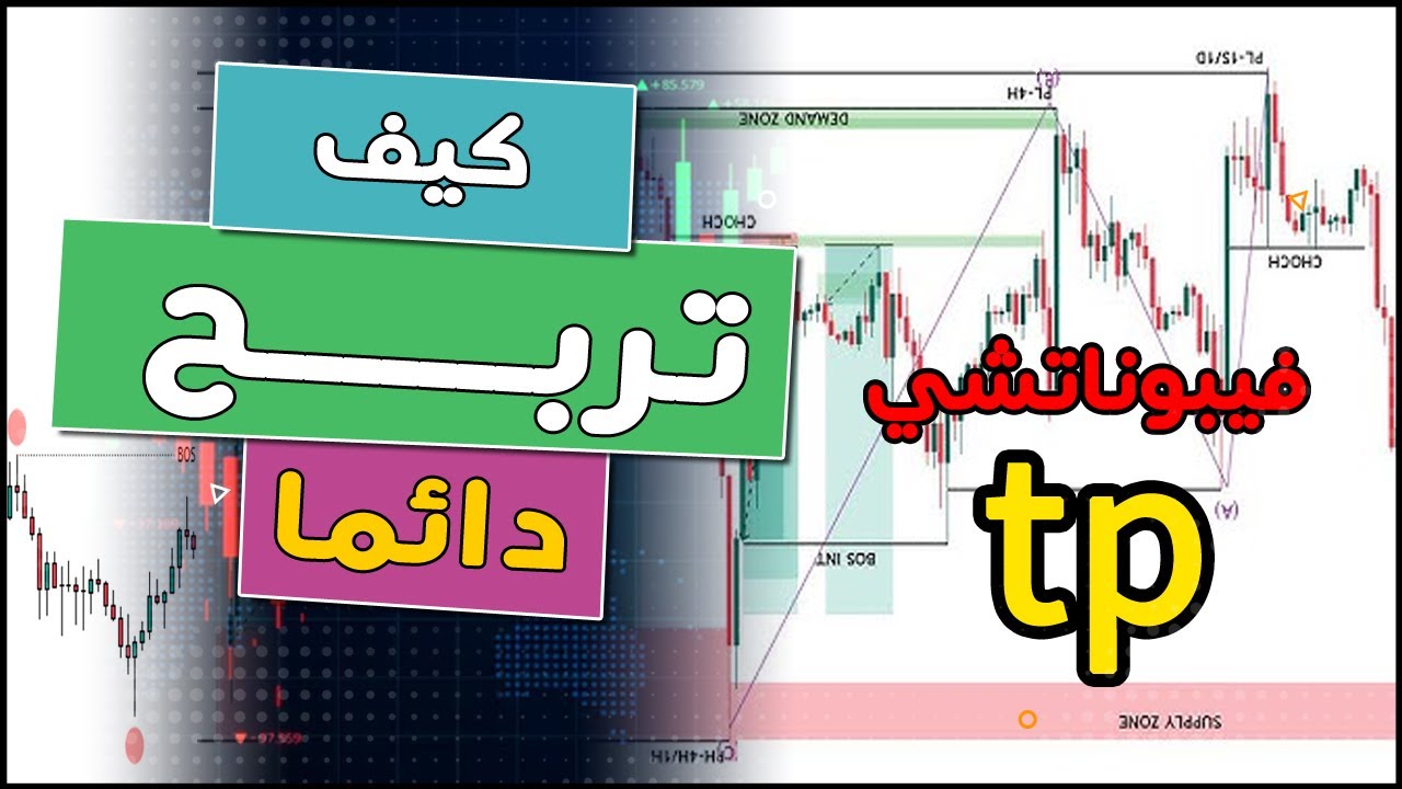 كيف تربح دائما (1) | تحديد مستويات جني الارباح | الفيبوناتشي