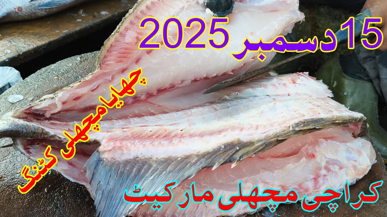 Karachi Fish Price Update