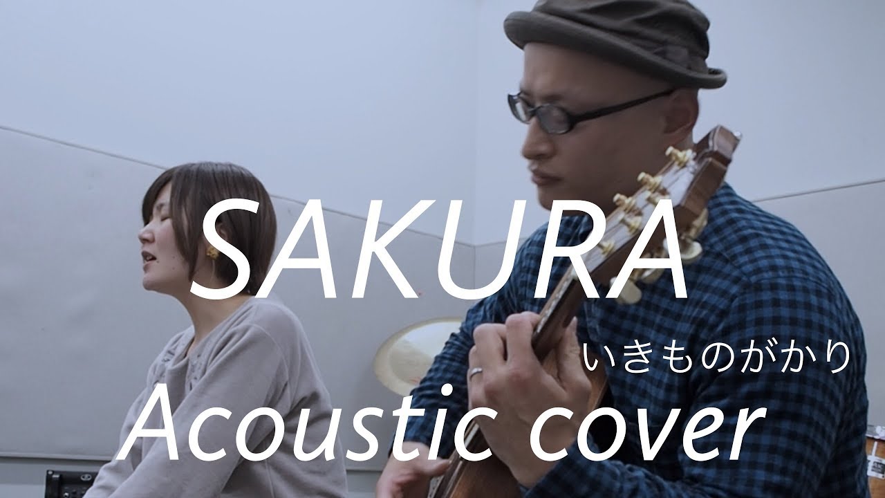 いきものがかり　 SAKURA　IkimonoGakari　“Sakura”　Acoustic cover