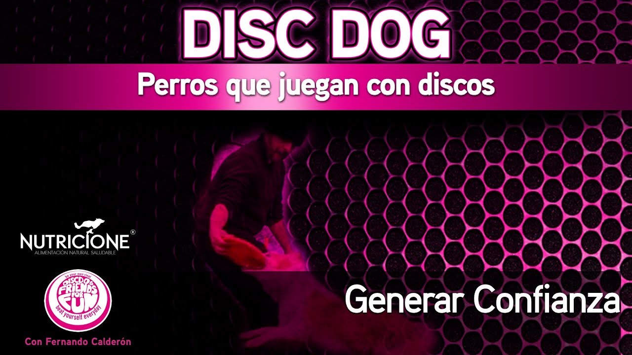 3.3 Cómo enseñar a tu perro a atrapar frisbees