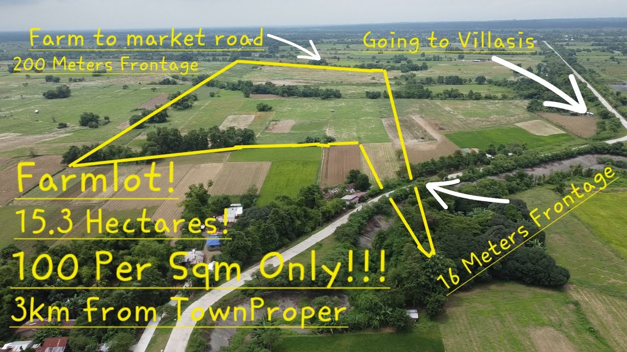 #vlog #588 FARMLOT IN ALCALA PANGASINAN 15.3 HAS TITLED PLUS 1.2HAS TAXDECONLY 100 PER SQM