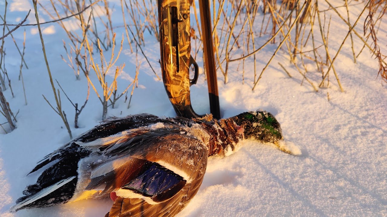 Ördek Avı/Yarım metre karda av/Duck Hunting/Утиная охота