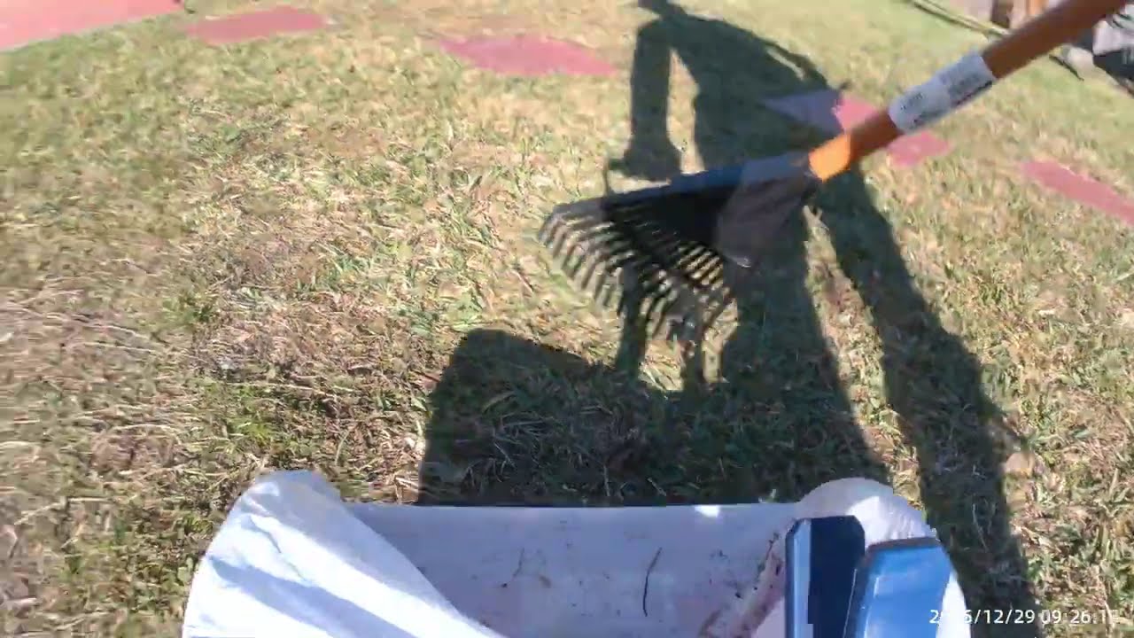 Poop Diggers-Day of Scooping 12/29/2025, Part 2