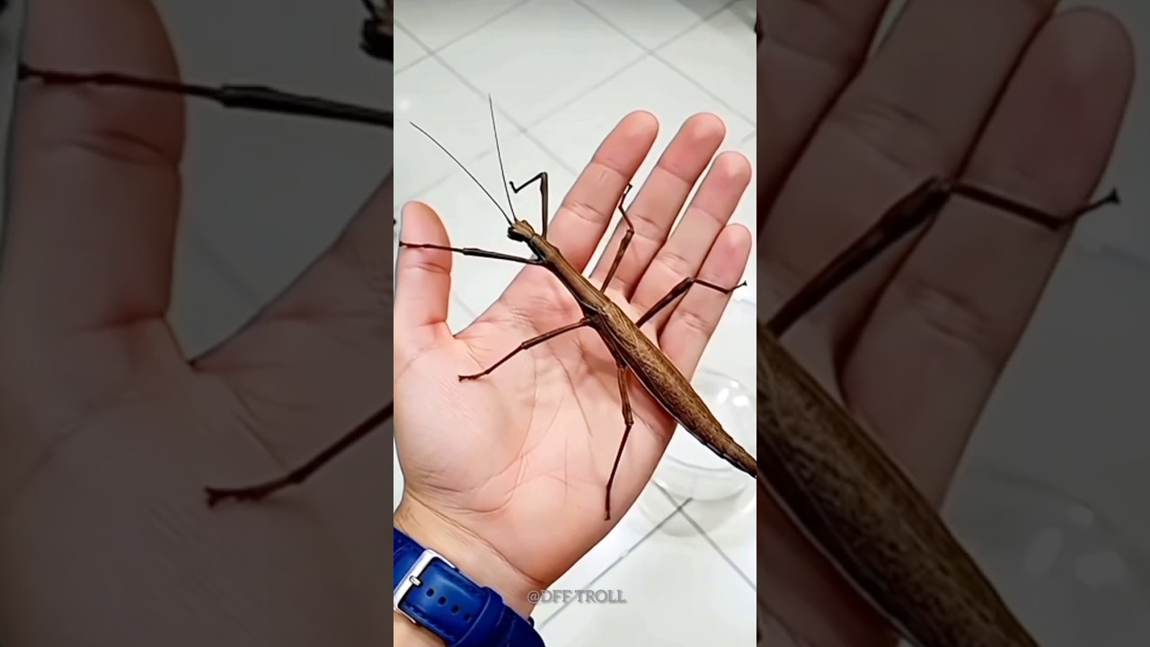 Small To Big Transformation! 