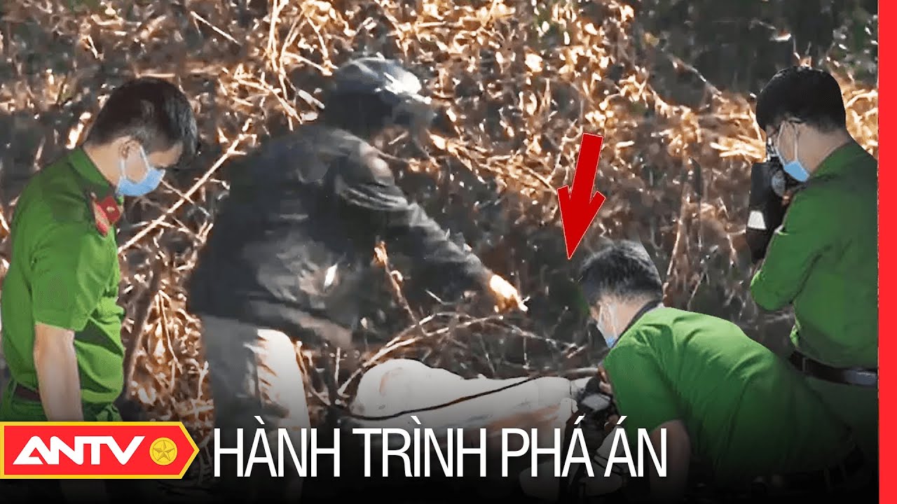 Hành trình phá án mới nhất ngày 30/06/2023 | Hành trình phá án | ANTV