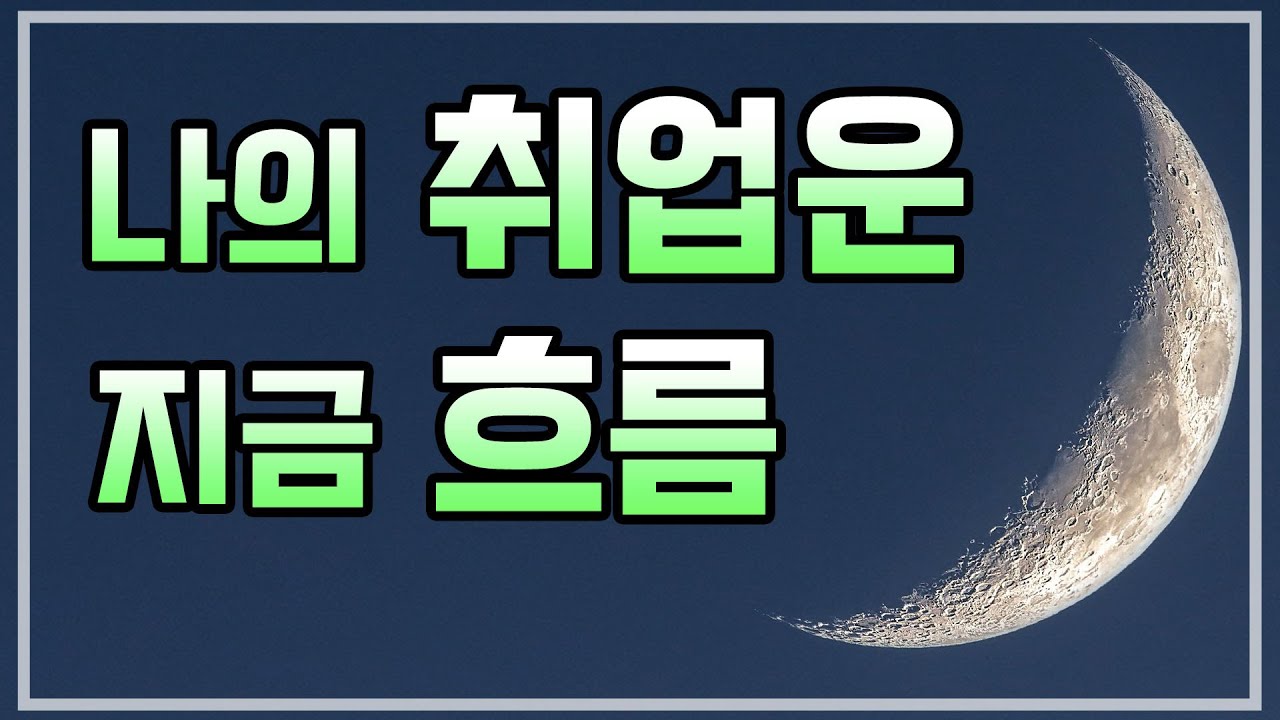 [타로카드] 지금 나의 '취업운' 흐름🍀