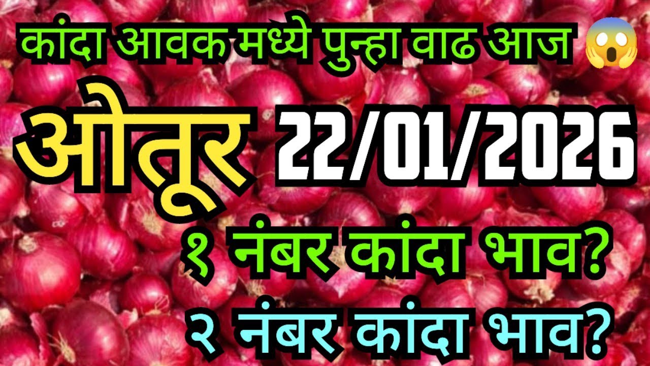 LIVE ओतूर नवीन कांदा मार्केट बाजार भाव #कांदा_बाजार_भाव #kandabajartoday #प्याज #pyajbhav #कांदा