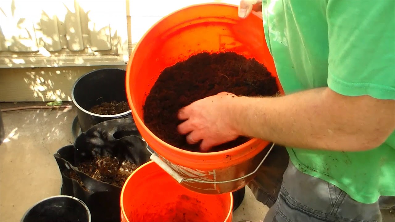 Mars Hydro Grow journal, fabric vs. plastic, pot setup and transfer day, blue gorilla