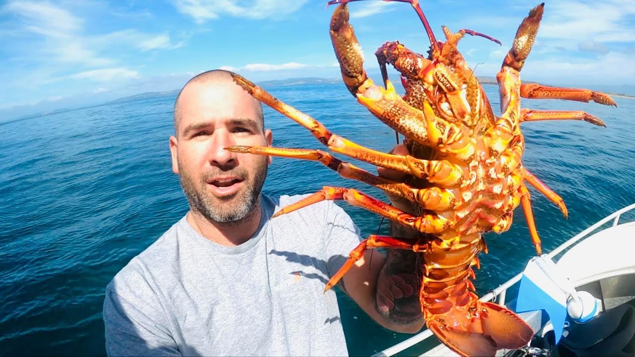 CRAYFISH diving Tasmania - Betsy Island CATCH AND COOK - Ep10