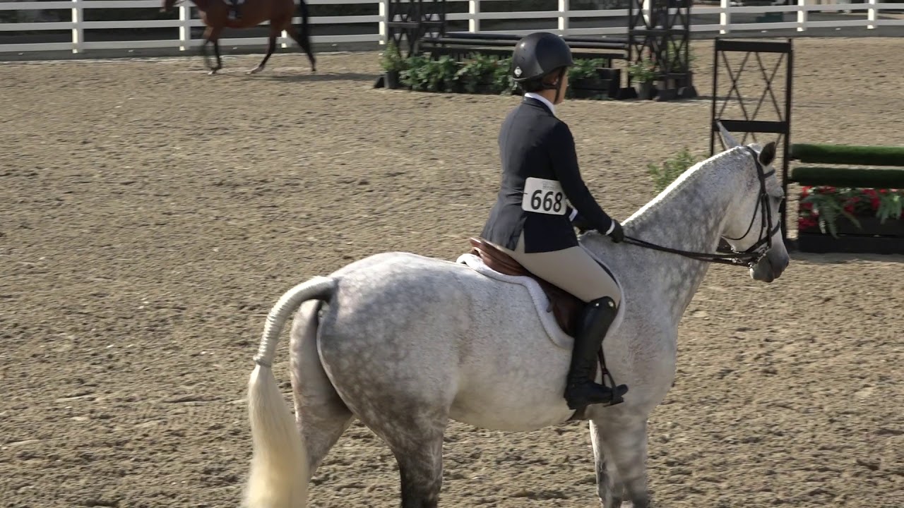 206 - Amateur Hunt Seat Equitation, Flat 36 & Over - FLAT