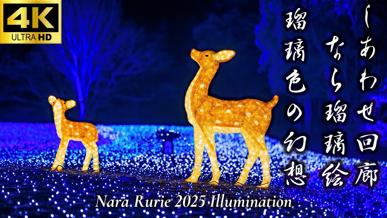 【幻想的な青の世界】しあわせ回廊 なら瑠璃絵 2025｜奈良の冬を彩る光の祭典｜奈良観光｜奈良旅行｜奈良公園｜冬の風物詩｜イルミネーション｜4K