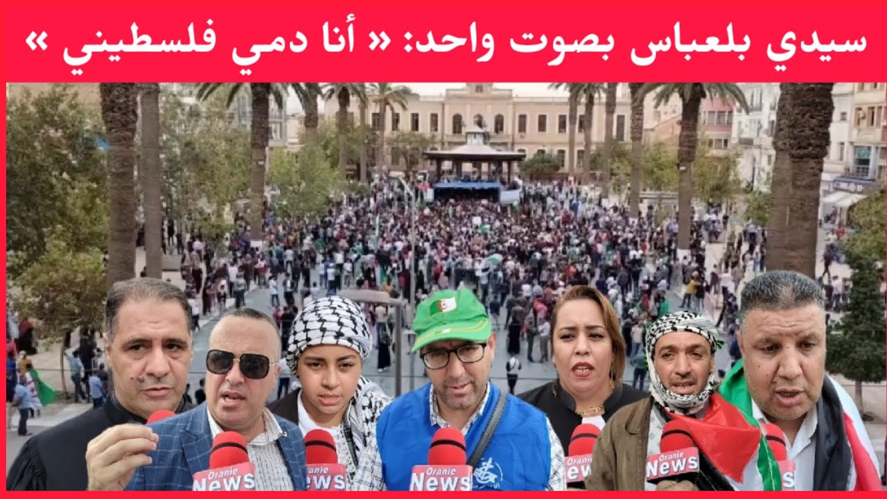 الجزائر🇩🇿: مشاهد فخمة من سيدي بلعباس في مسيرة حاشدة لدعم الإخوة في قطاع غزة 🇵🇸....