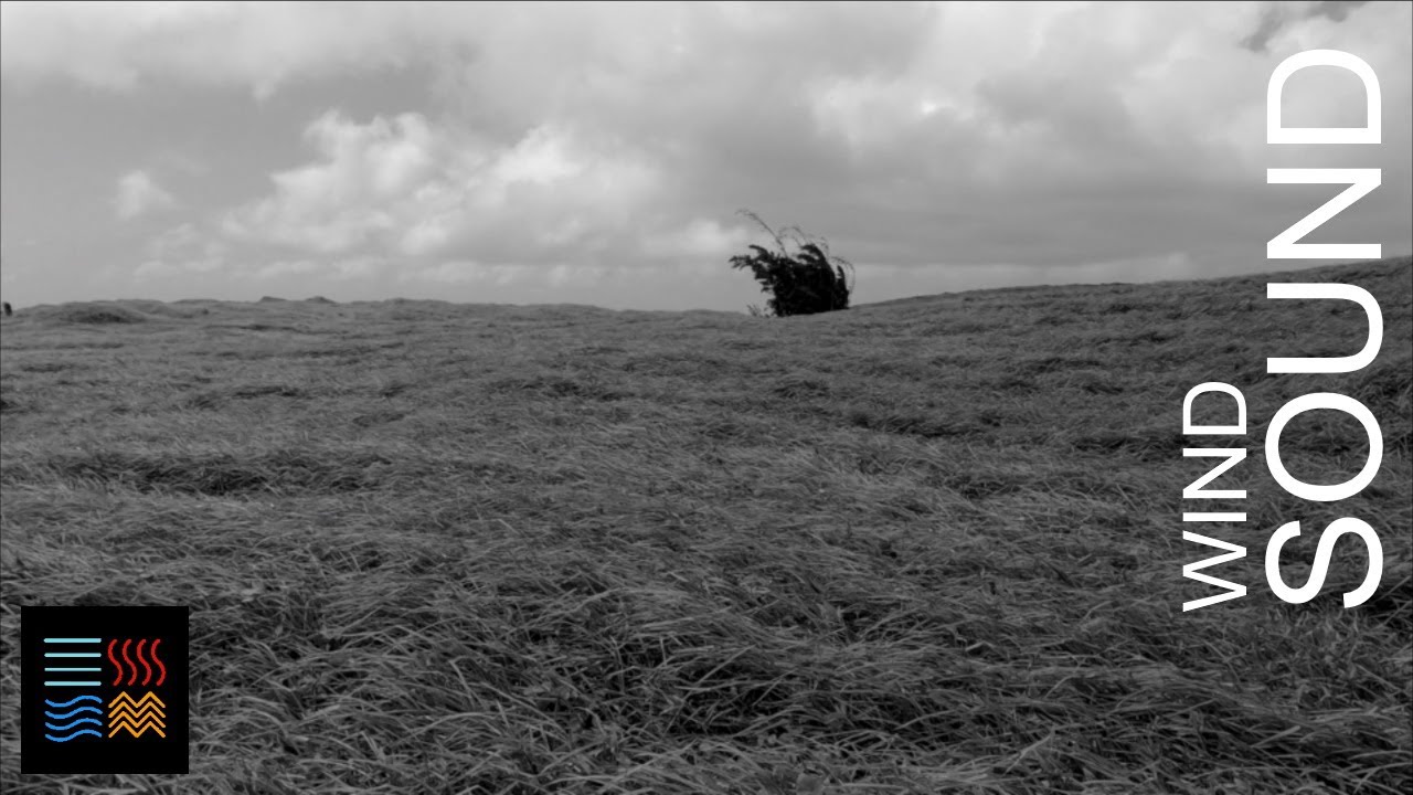 Wind Blowing Through Tall Grass While Clouds Drift By