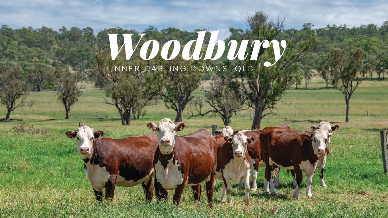 ‘Woodbury’, Inner Darling Downs, Qld