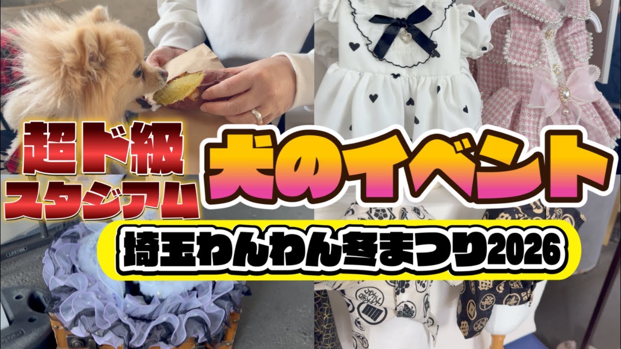 【犬イベント】出店数100超え‼️埼スタに犬がいっぱい！？初めての「埼玉わんわん冬まつり」お出かけVlog