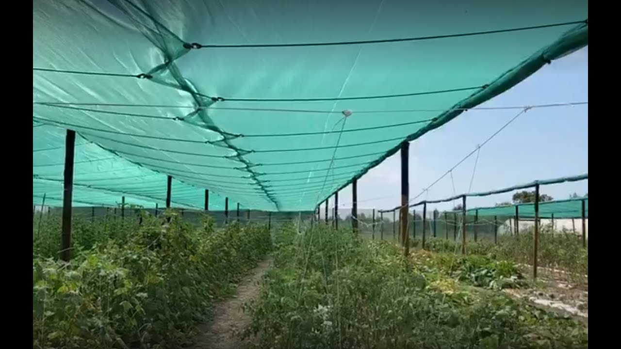 Filets d'ombrage - Protection météorologiques / Shade net - Weather protection