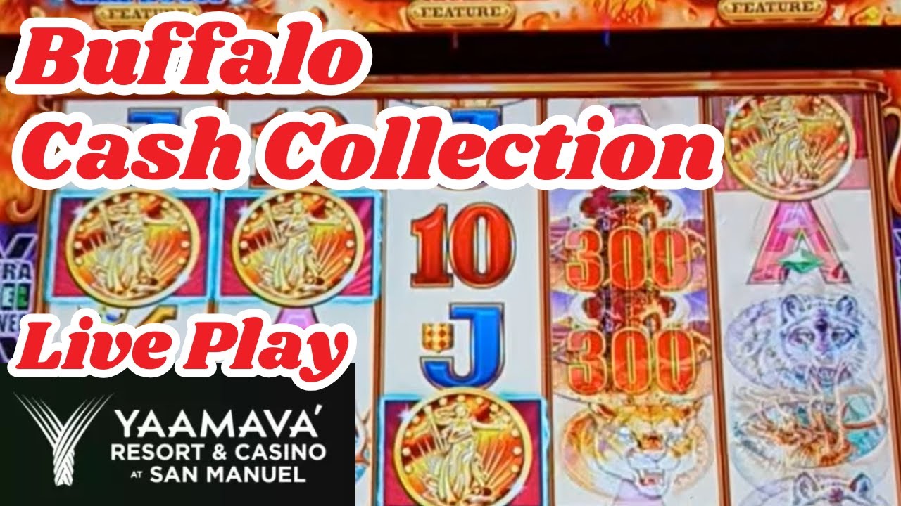 Сбор денежных средств в Буффало: прямая трансляция