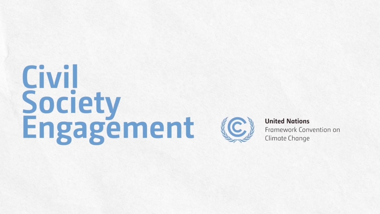 民间社会参与的可能性