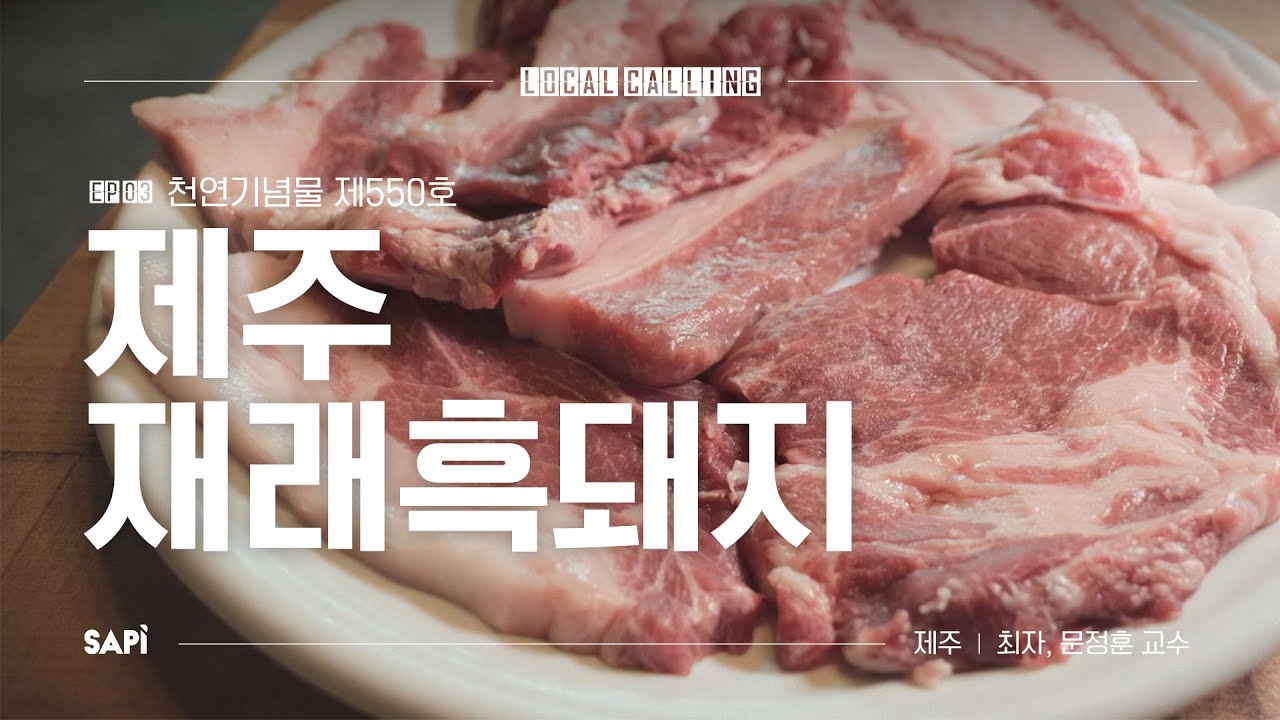소고기 육색과 마블링의 '진짜' 오리지널 흑돼지  | 로컬콜링 EP.03 제주 재래흑돼지 w/문정훈 교수