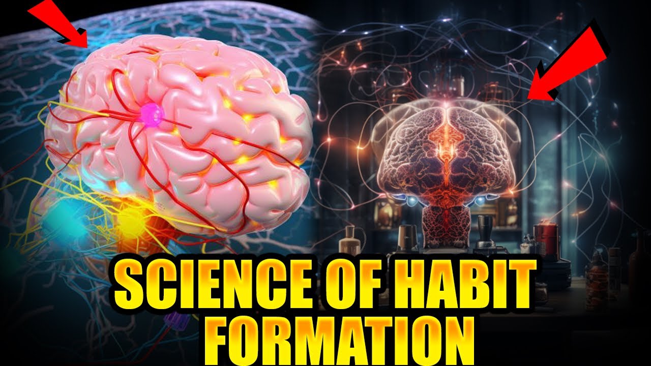 Rewire Your Brain | The Science Of Habit Formation