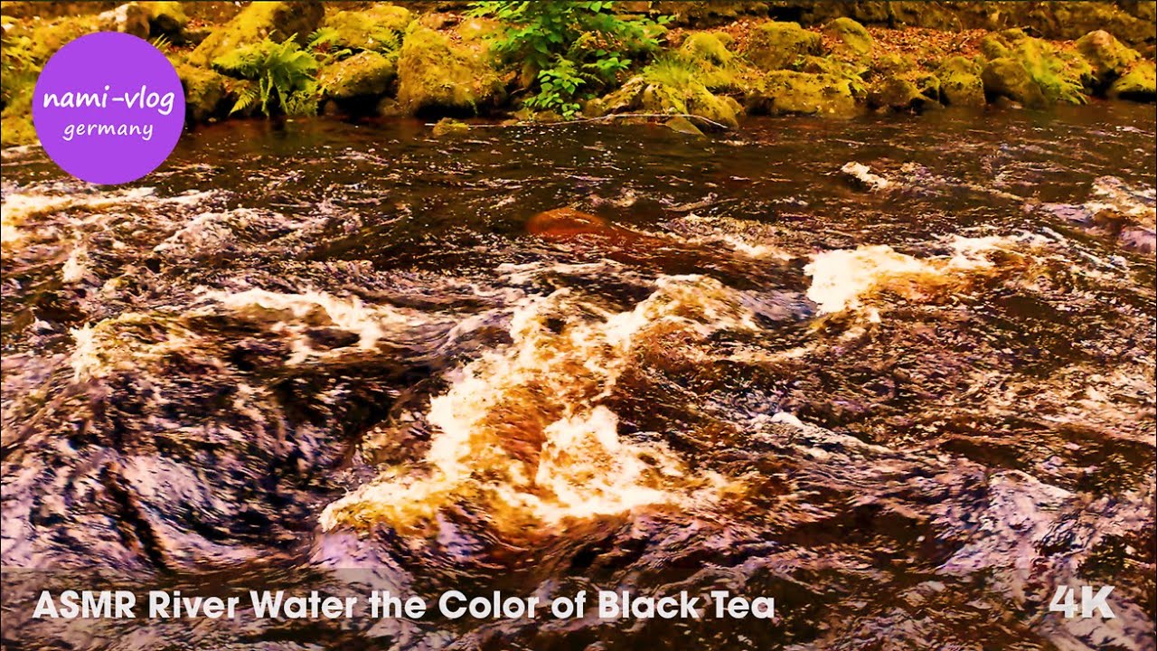 🍃 ASMR Bad Wildbad: River Water the Color of Black Tea | Discover Nature's Brown Water #ASRM