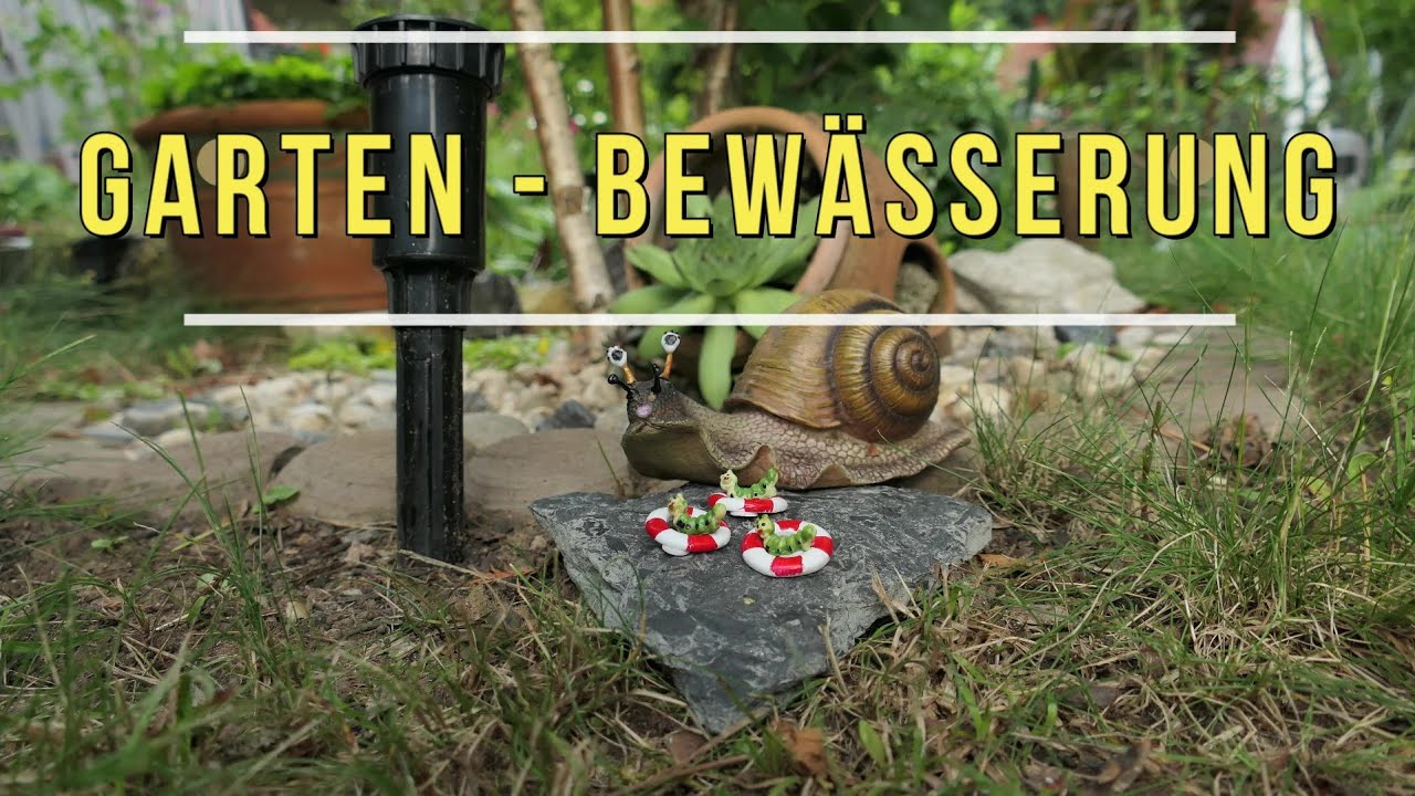 Hochlandschnecke Berta - Ein Leben am Hang 