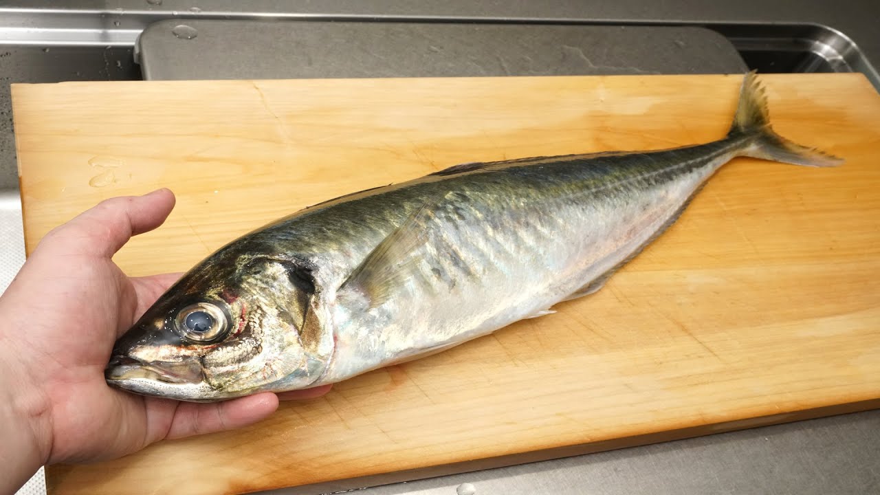 鯵(アジ)のさばき方と酢締め「シメアジ」の作り方