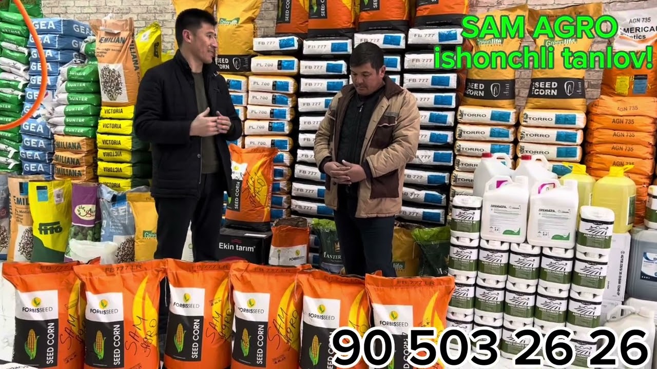 Makkajuxori Forbis 777 Navi xaqida dexqonimiz bilan suxbat