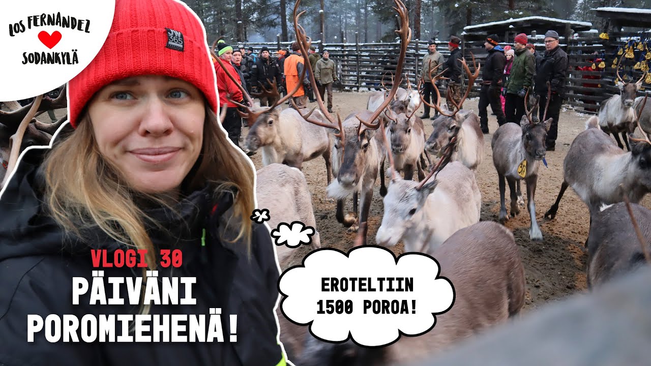 INARI LAPIN OIKEISSA T&Ouml;ISS&Auml; - P&Auml;IV&Auml;NI POROMIEHEN&Auml; #vaihtovuosisodankyl&auml;ss&auml; vlogi 30