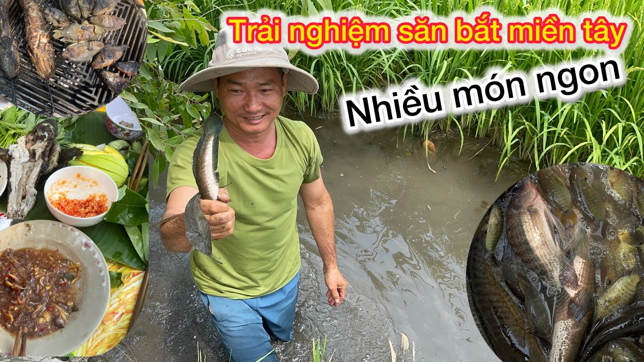 Đặc Sản Miền Tây Sông Nước Chim Cò Cá Nước Làm Nhiều Món Ngon 