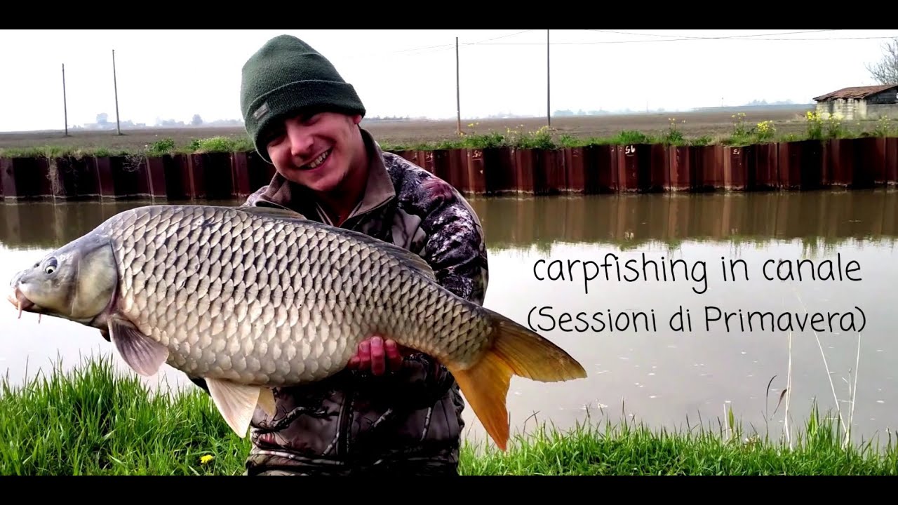 TeamFS - Carpfishing in Canale (Sessioni di Primavera)