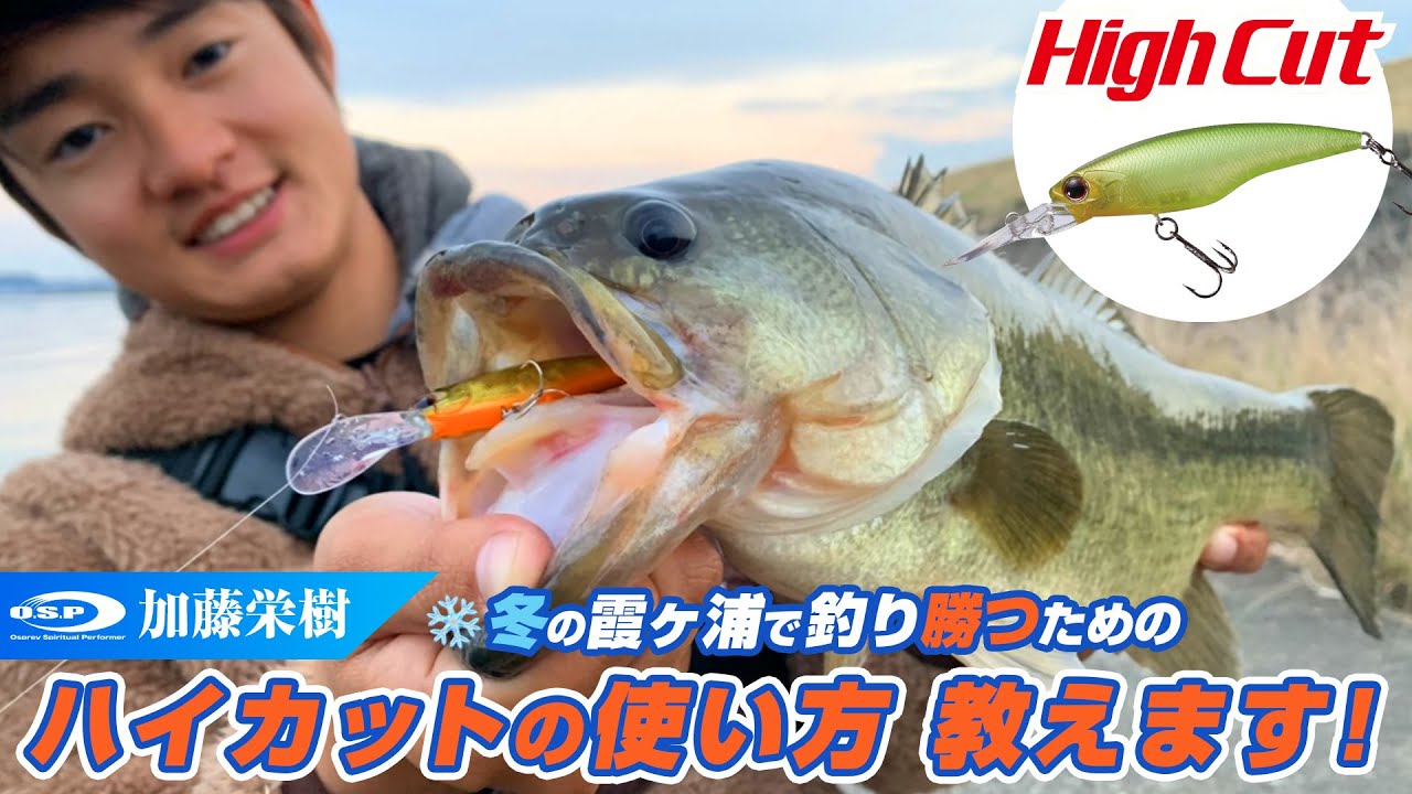 【ハイカット】冬の霞ヶ浦で釣り勝つためのハイカットの使い方教えます！【加藤栄樹】