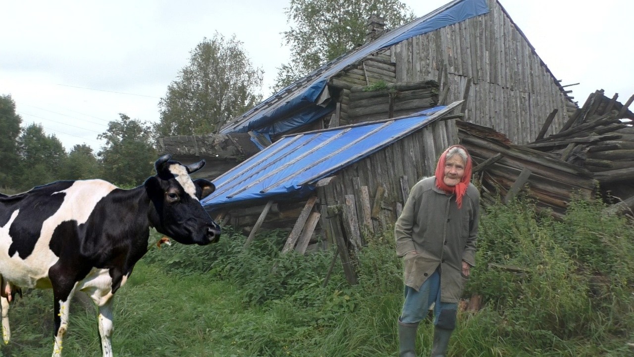 Бабушка живет одна в заброшенной деревне. Последний житель опустевшей деревни.
