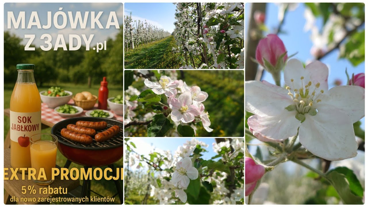 Z Sadu 23 Kwiecień 2025 Eksplozja kwiatów Konieczne będzie przerzedzanie #sadownictwo #sad #ogrody