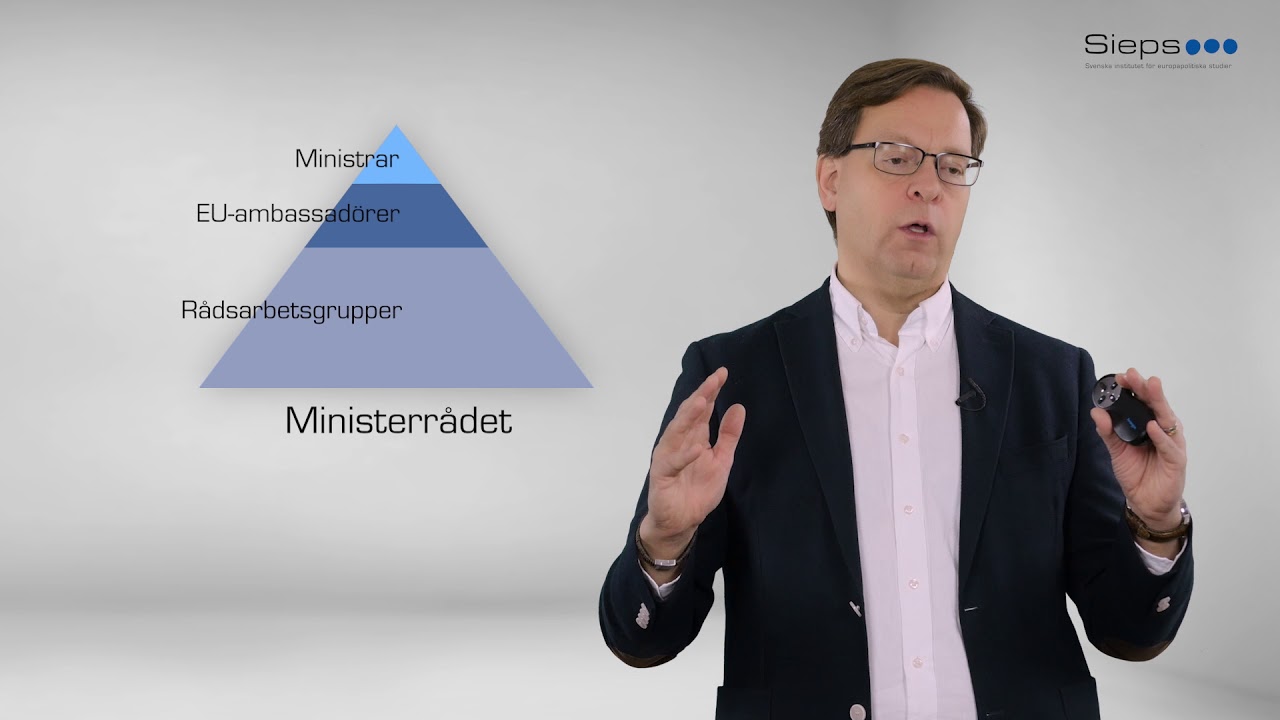 EU:s ministerråd - EU-kunskap: del 4.3
