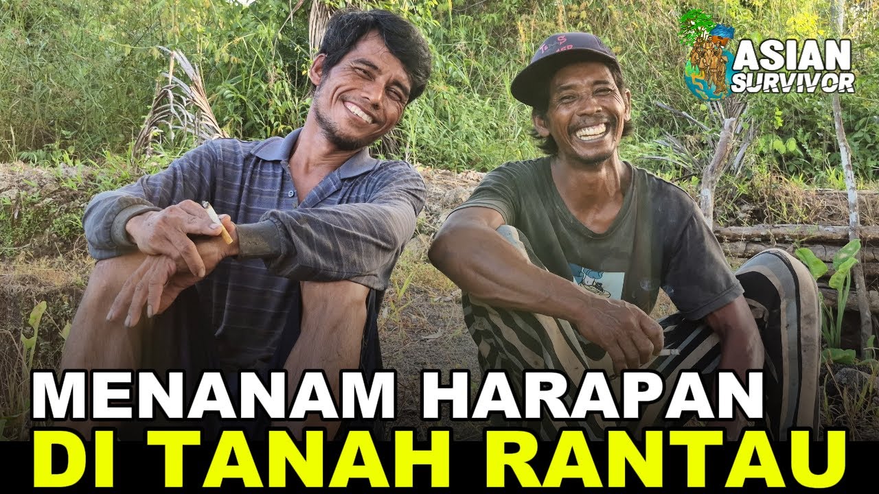  KERJA KERAS DAN KOLABORASI! INSPIRASI PETANI RANTAU DARI LAHAN TRANSMIGRASI KALIMANTAN