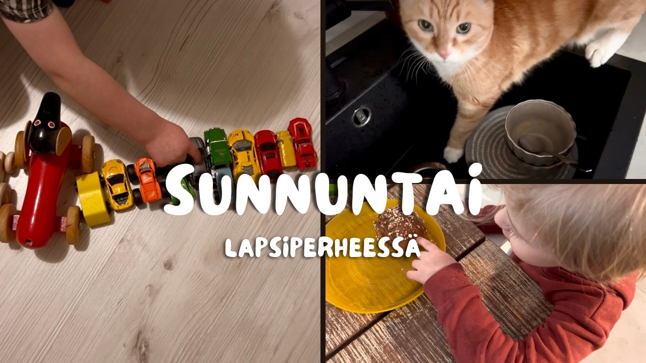 Pimeä pulla, kissa altaassa ja muita perus sunnuntai puuhia 😆❤️