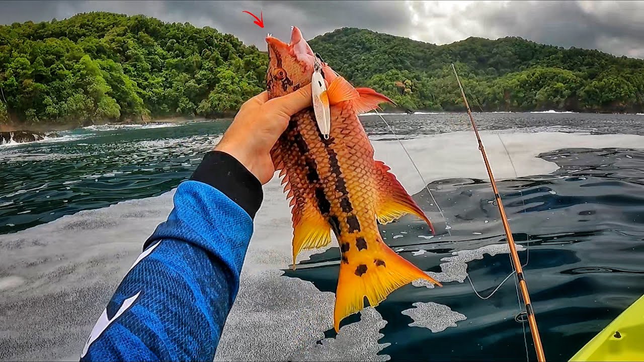 INCRÍVEIS E DESCONHECIDOS PEIXES DO FUNDO DO MAR... Pescaria.