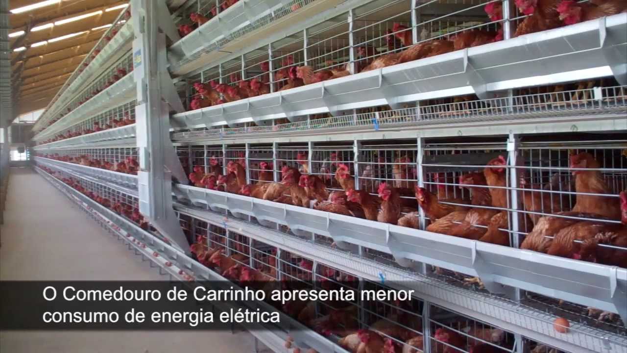 Alaso - Gaiolas Para Poedeiras (PORTUGUES)
