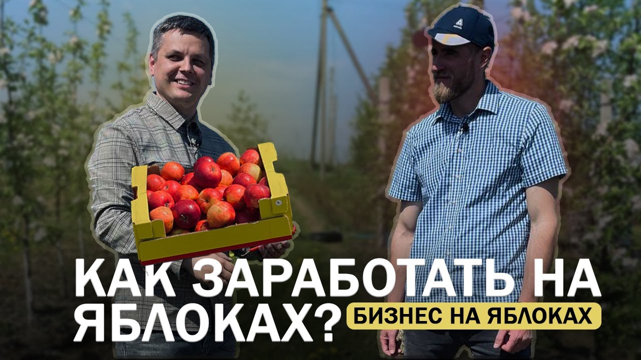 Бизнес на яблоках . Как заработать на яблоках. Яблоневый сад как бизнес.