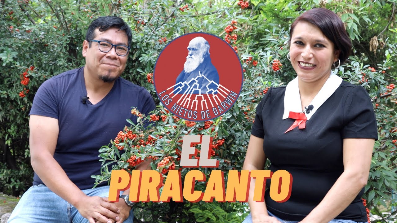 Los Nietos de Darwin | El Piracanto