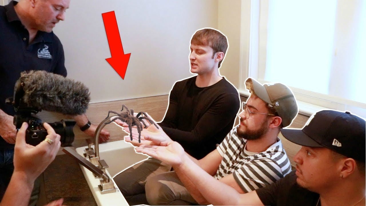 AN ALBOE VLOG LIKE THE GOOD OLD DAYS!!
