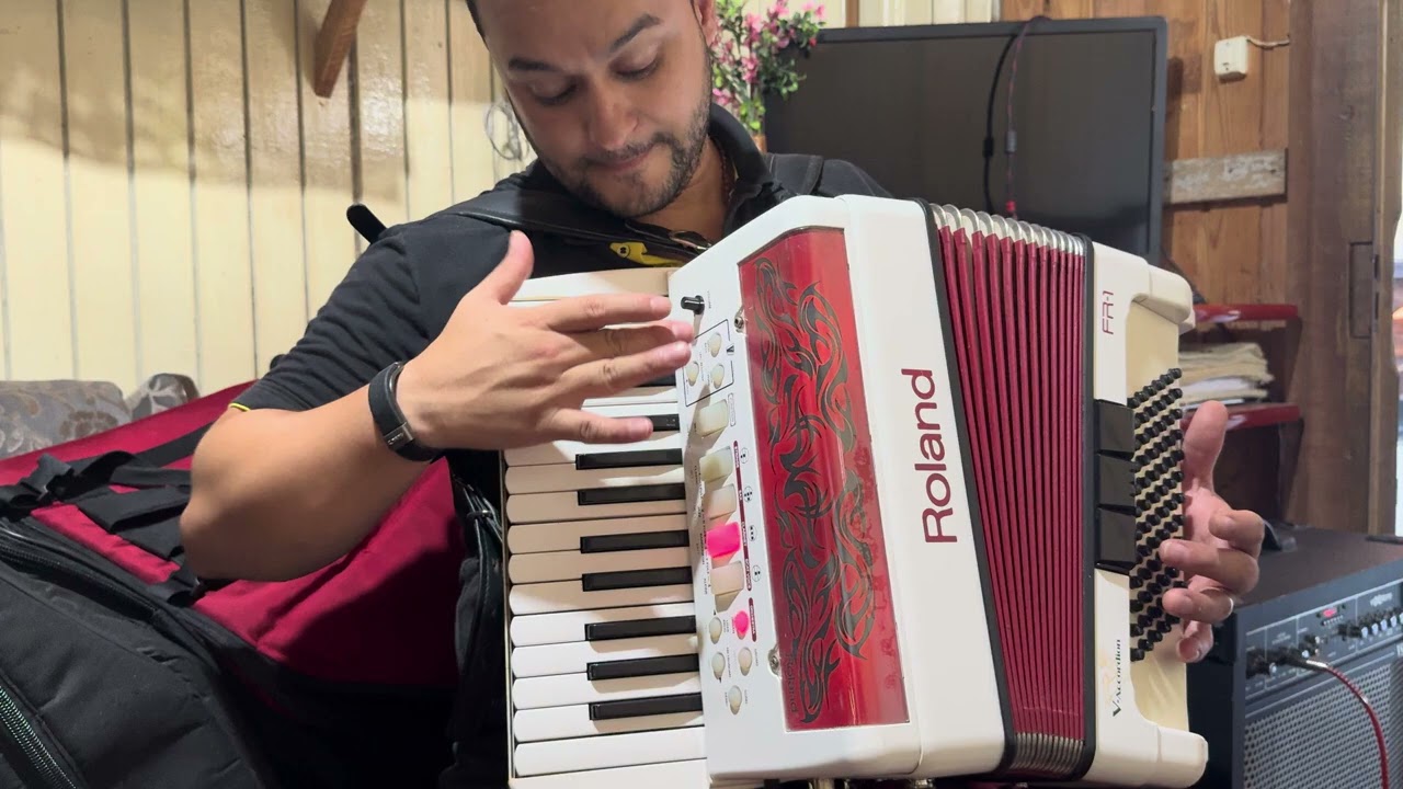 (Vendido) Acordeon Roland Fr1 / Sanfona Mais Leve Do Mercado